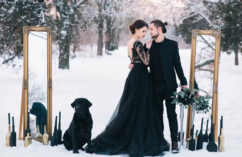 жених и невеста, черное платье, собака, зеркало